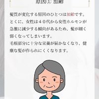 画像2599