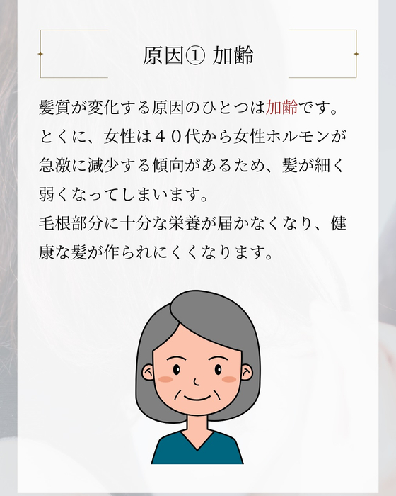 画像2599
