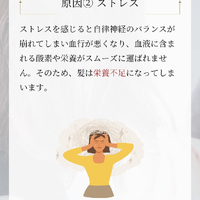画像2600