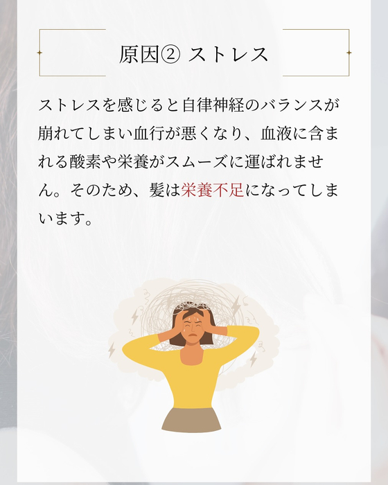 画像2600