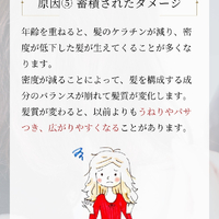 画像2603