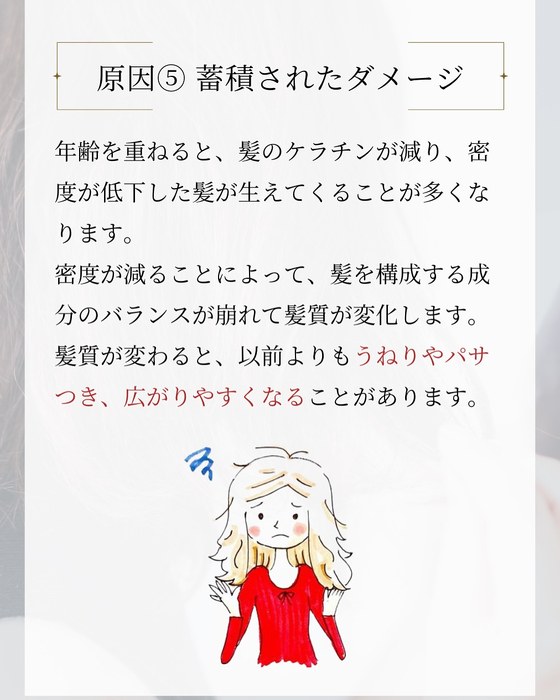 画像2603