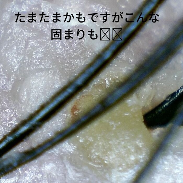 画像265