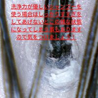 画像267