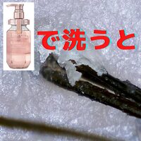 画像270