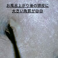 画像271