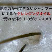 画像274