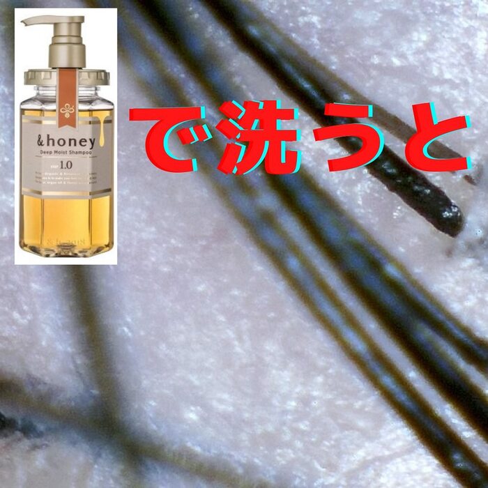 画像279
