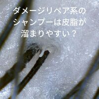 画像285