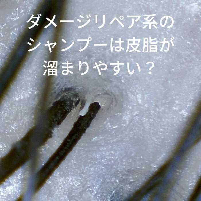 画像285