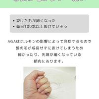 画像2864