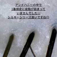 画像291