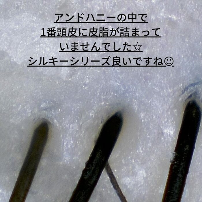 画像291