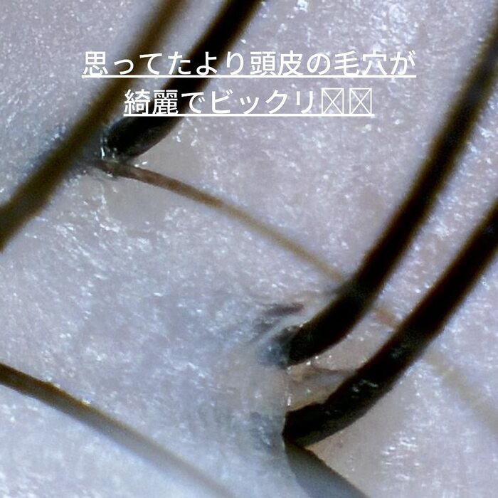 画像296