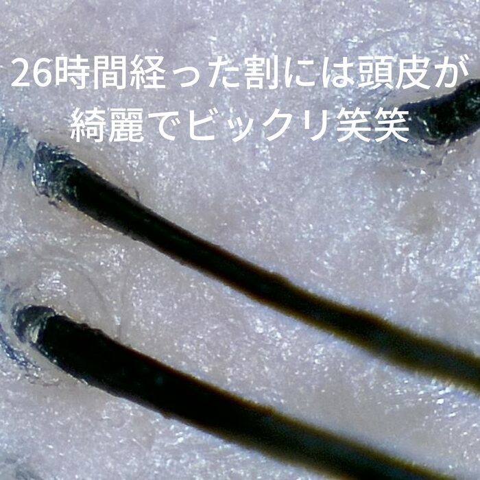 画像302