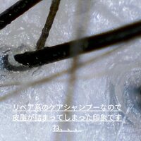 画像307
