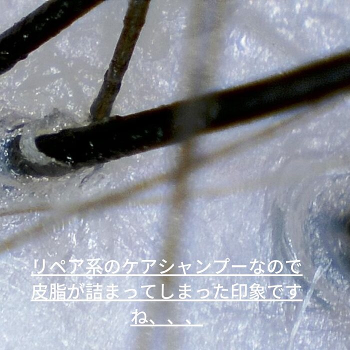 画像307