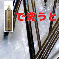 画像312