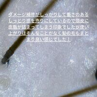 画像313