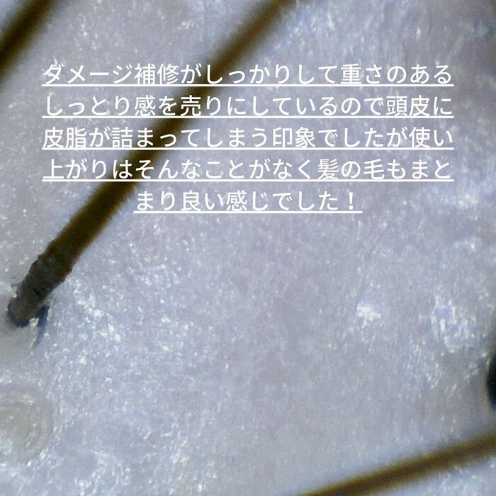 画像313