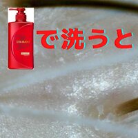 画像319