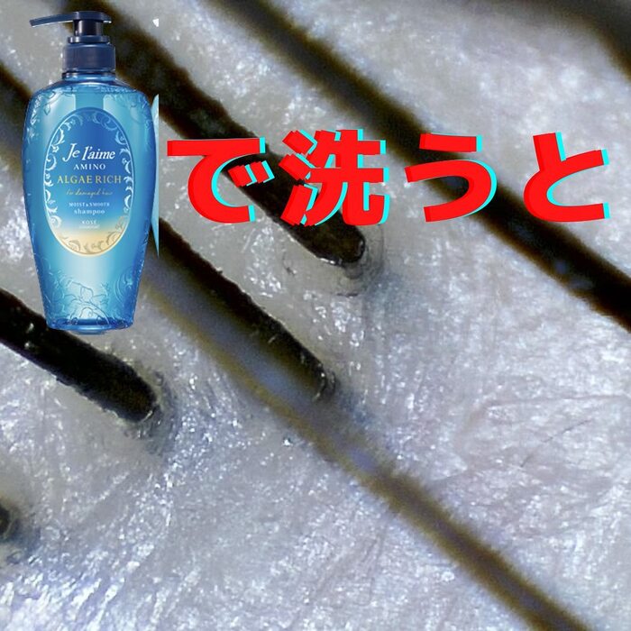 画像331