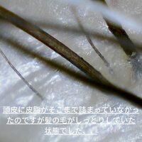 画像332