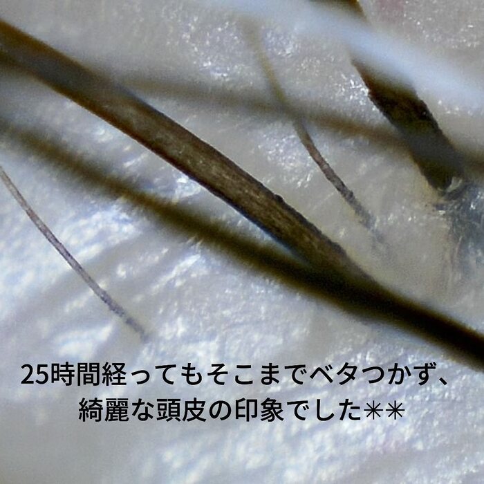 画像337