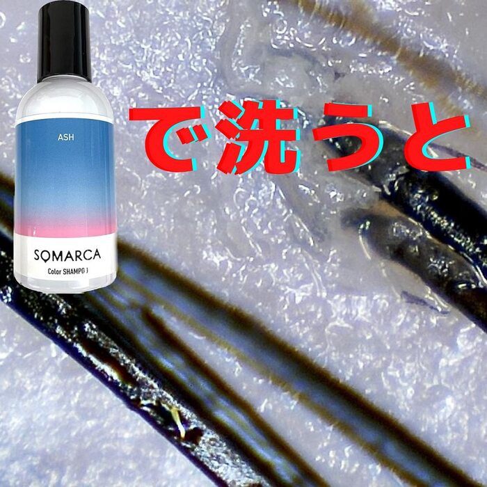画像341
