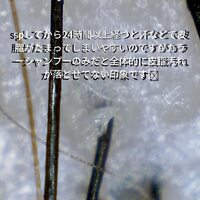 画像342
