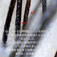 画像351