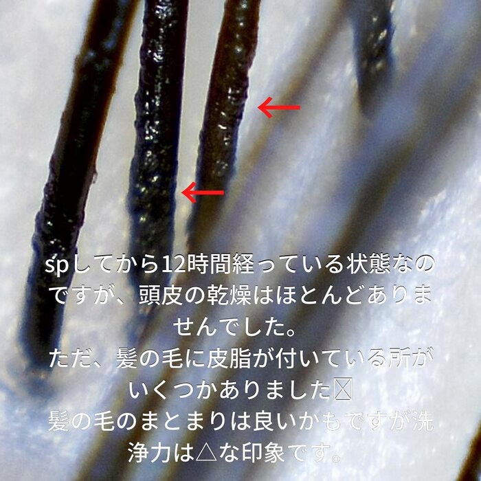 画像351