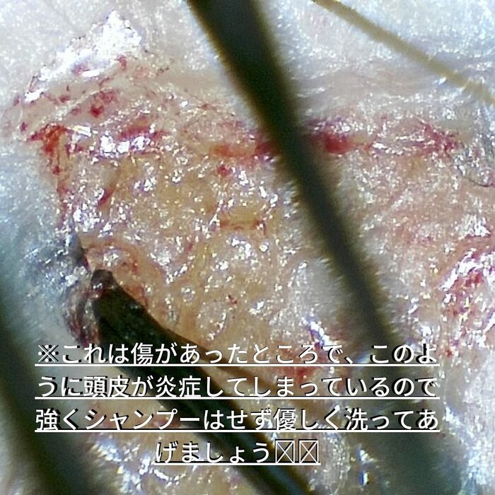 画像352