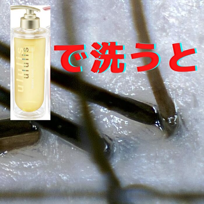 画像356