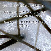 画像357