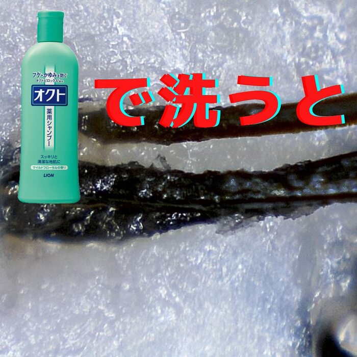 画像361