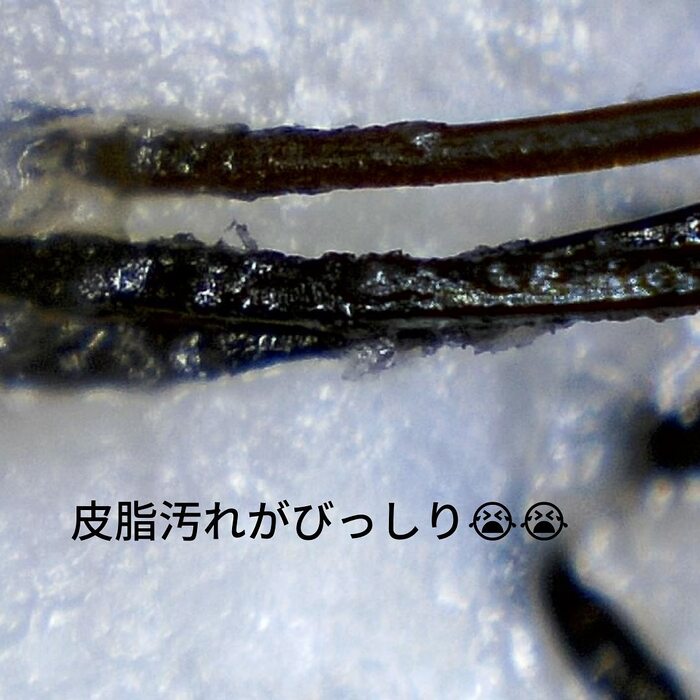 画像363