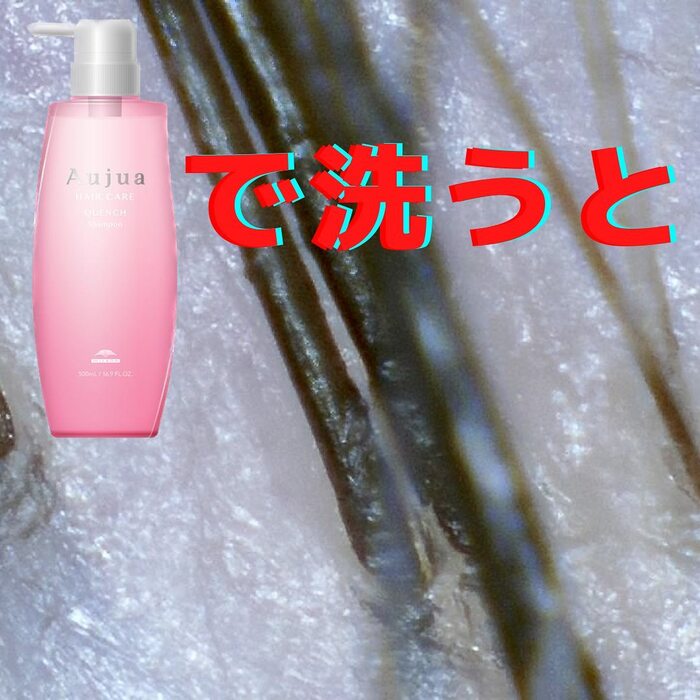 画像369