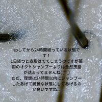 画像370