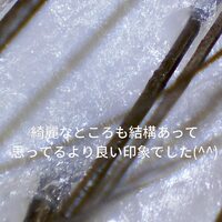画像371