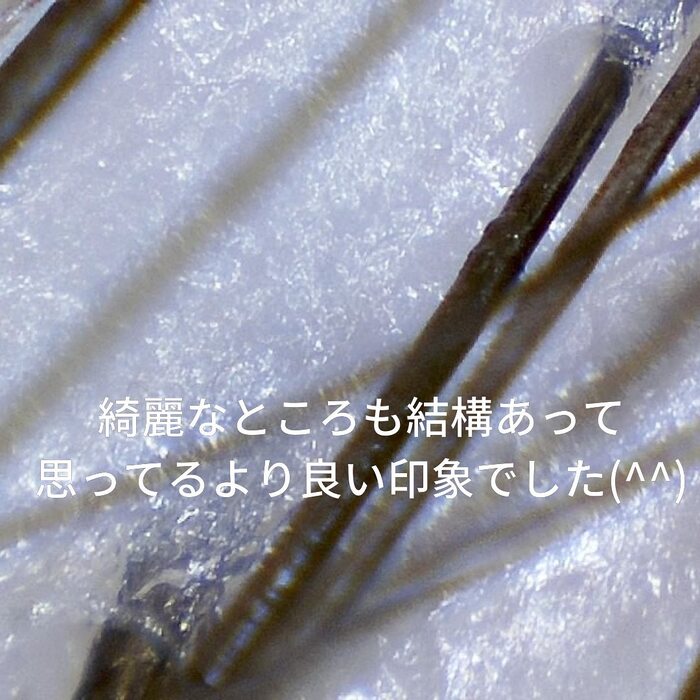 画像371