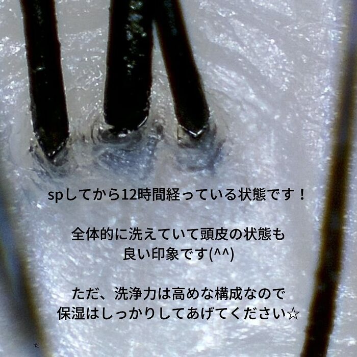 画像376