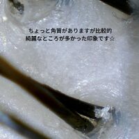 画像381