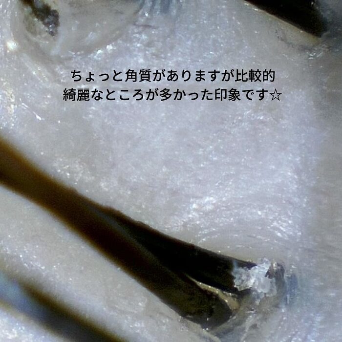 画像381