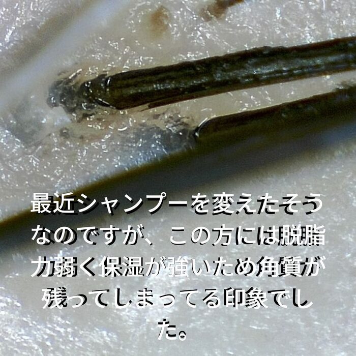 画像388