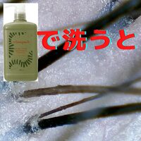 画像397