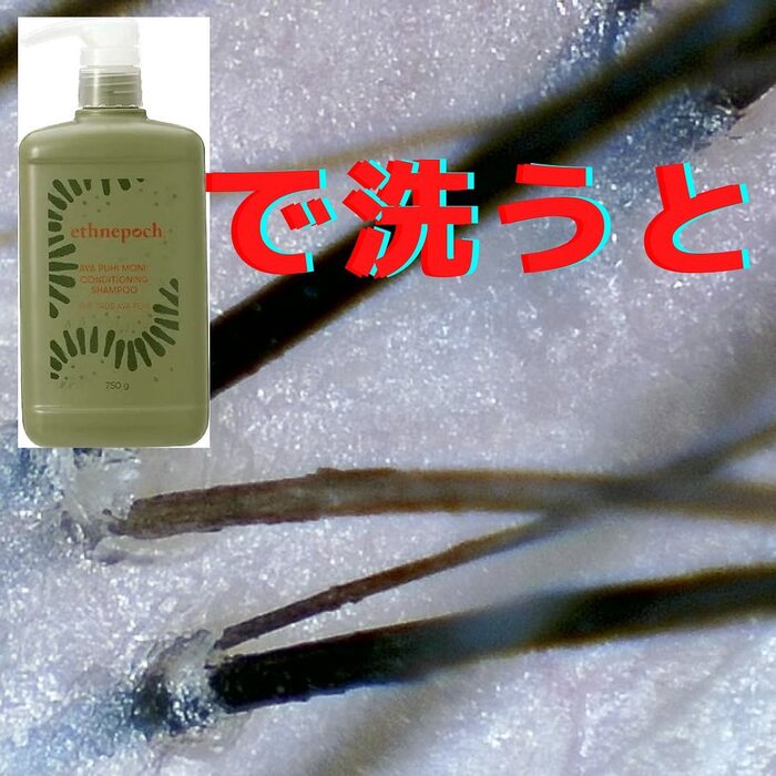 画像397