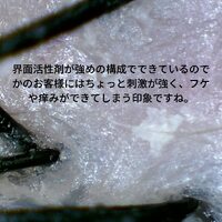 画像398