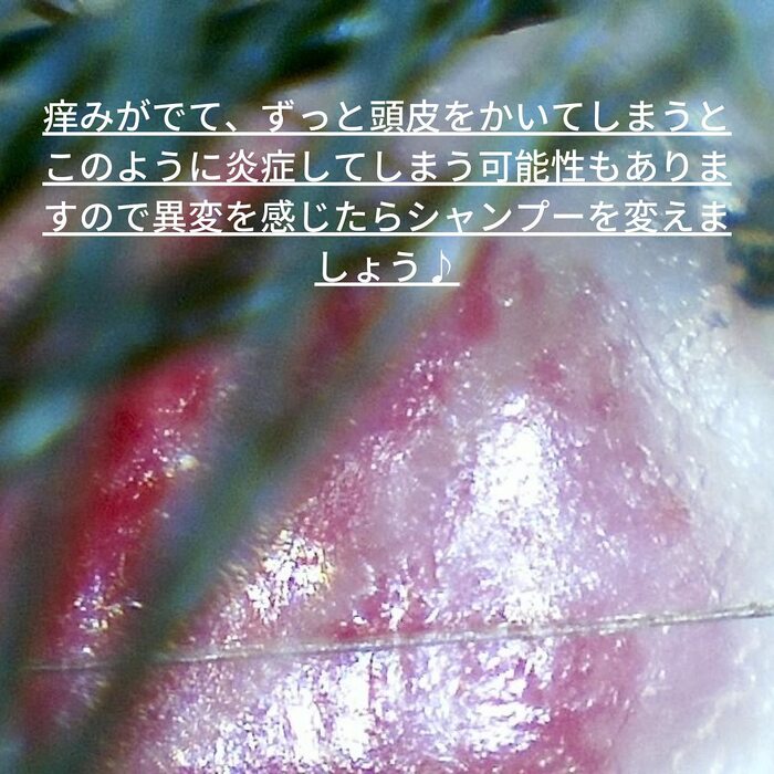 画像399