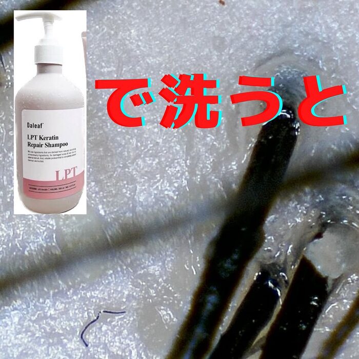 画像403